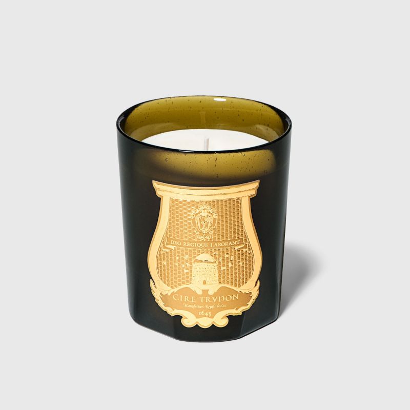 CIRE TRUDON Ernesto